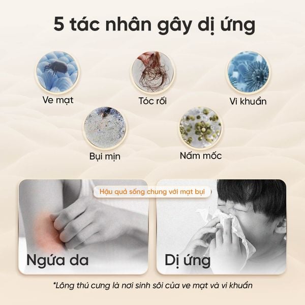 [HÀNG ĐẶT TRƯỚC - GIẢM THÊM 200K] Máy hút bụi giường nệm cầm tay Masuto Dreamer - UV diệt khuẩn, 2 buồng lọc bụi Cyclone Hepa, lực hút mạnh 13000Pa