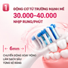 Bàn chải điện Điện Quang ĐQ ET01B (1600mAh, kèm đế sạc)