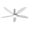 Quạt trần Điện Quang CF04 1405 G (55 W, 5 cánh, cánh 140 cm, màu xám, có đèn, remote)