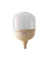 Đèn LED bulb công suất lớn Điện Quang ĐQ LEDBU17 (Bầu kín, Ánh sáng trắng)
