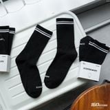 Vớ Crow ICONDENIM Inner Ease