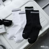 Vớ Crow ICONDENIM Inner Ease