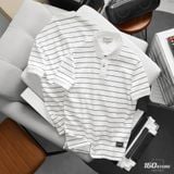 Áo Polo ICONDENIM Frame