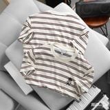 Áo Thun ICONDENIM Bear Line