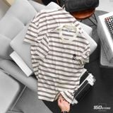 Áo Thun ICONDENIM Bear Line