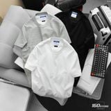 Áo Thun ICONDENIM Harmonic