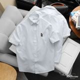 Áo Sơ Mi Nam Oxford Tay Ngắn Cool Bear Form Boxy