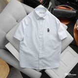 Áo Sơ Mi Nam Oxford Tay Ngắn Cool Bear Form Boxy