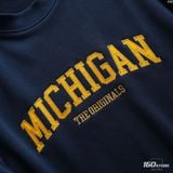 Áo Sweatshirt Nam ICONDENIM Varsity States