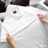 Áo Polo Nam BOUTON Forne