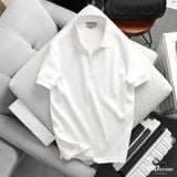 Áo Polo Nam ICONDENIM Quarter Zip