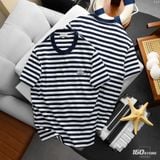 Áo Thun Nam ICONDENIM Riviera Stripe