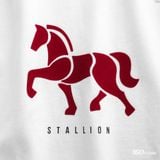 Áo Thun Nam ICONDENIM Urban Stallion