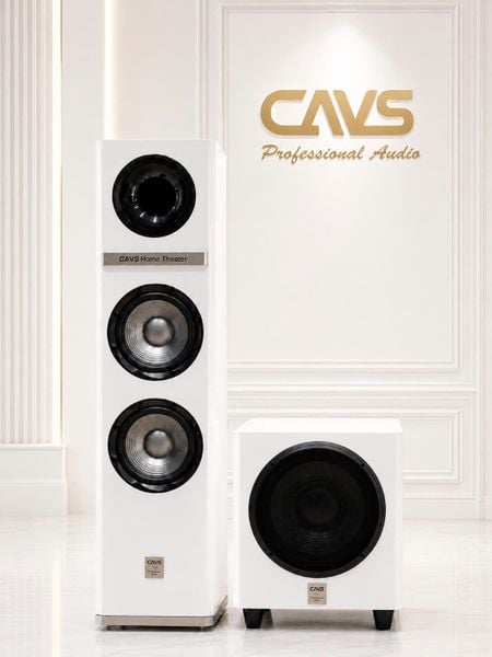 CAVS TP208