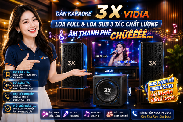 Dàn Karaoke Vidia 3X