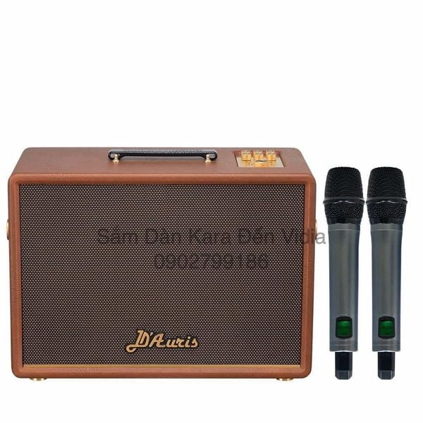 LOA DI ĐỘNG SONCAMEDIA D'AURIS 200