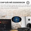 DAC SUCA AUDIO Q5N