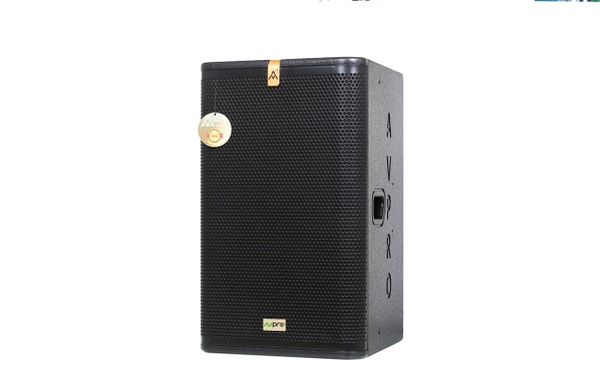 AVPRO SM110