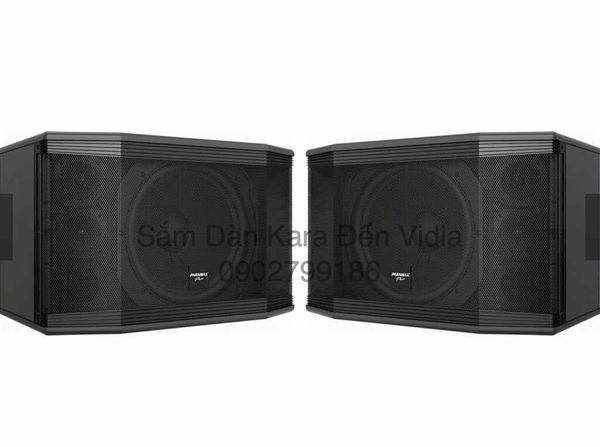 Loa Karaoke Paramax Pro C10