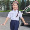  Áo sơ mi học sinh nữ bèo ngực - GDP001 