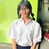  Áo sơ mi học sinh nữ bèo ngực - GDP001 
