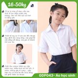  Áo sơ mi học sinh nữ cổ sen phối ren tay xòe trắng kem - GDP043 