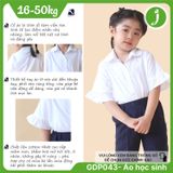  Áo sơ mi học sinh nữ cổ sen phối ren tay xòe trắng kem - GDP043 