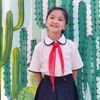  Áo sơmi học sinh nữ cổ lá sen viền xanh cotton thoáng mát - GDP046 