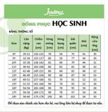  Quần tây học sinh nữ ống đứng vải xuân hương màu đen - GDP048 