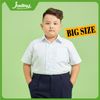  Áo sơmi tay ngắn học sinh xếp li big size vải cotton mềm mại, thấm hút mồ hôi tốt - TDP004 