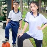  Áo thể dục học sinh cao cấp lá cổ xanh nam nữ - TDP030 