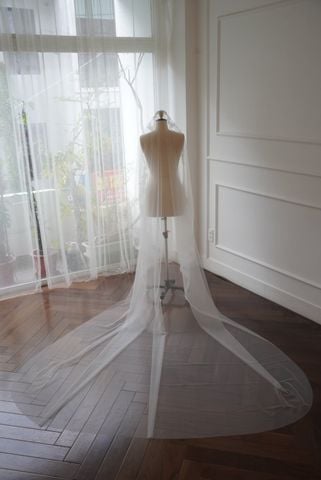 Veil_VMS_26