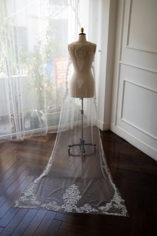 Veil_VMS_04