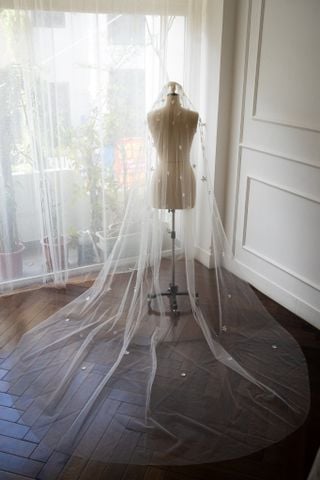 Veil_VMS_05
