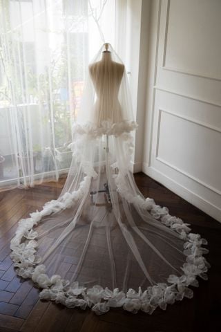 Veil_VMS_07