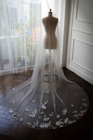 Veil_VMS_08