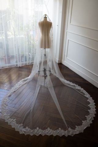 Veil_VMS_12