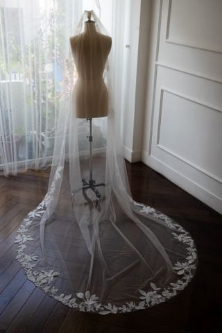 Veil_VMS_13