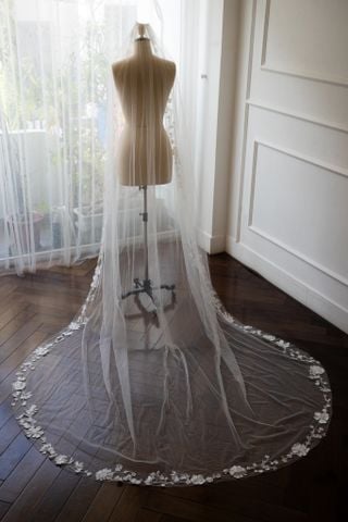 Veil_VMS_14