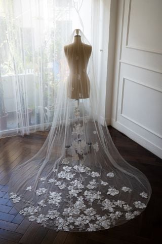Veil_VMS_15