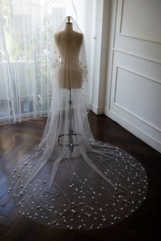 Veil_VMS_19