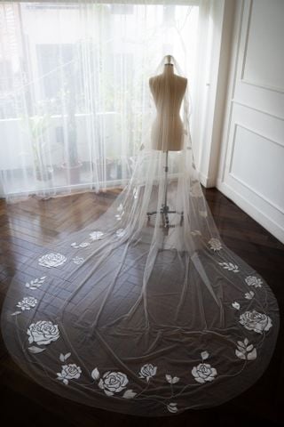 Veil_VMS_20