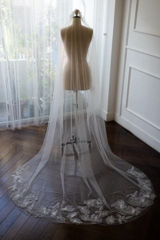 Veil_VMS_24