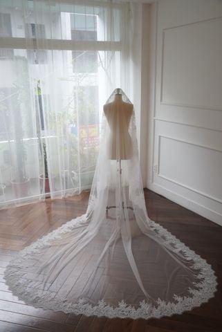 Veil_VMS_28