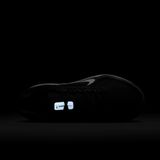  Giày Thể Thao Nam Nike Winflo 11 FJ9509 