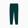  SPORTS LEGACY Graphic Sweatpants TR cl Dark Myrtle 62963160 
