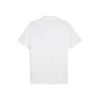  Áo Polo PUMA ESS No. 1 Logo Jersey Polo 68255602 