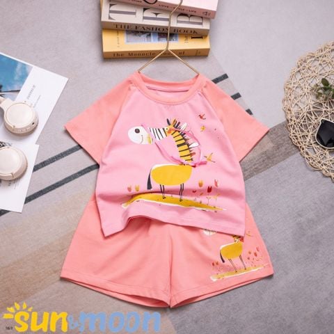  Bộ đùi ngựa vằn chim nơ 