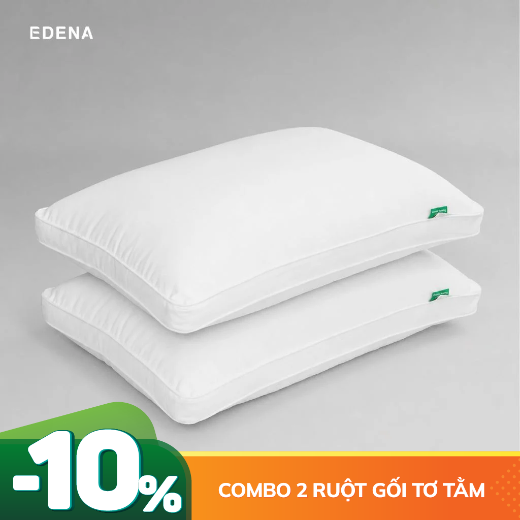 Combo 02 ruột gối Tơ Tằm