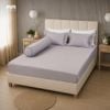 Bộ Ra Bọc MM Tencel Dệt Kim 28